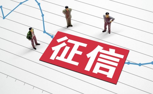 征信有问题能参加公司投标吗