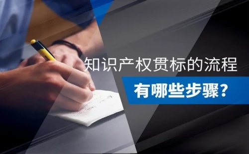 知识产权贯标认证流程