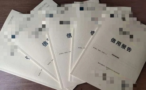 企业信用报告